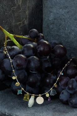 Collier Gary