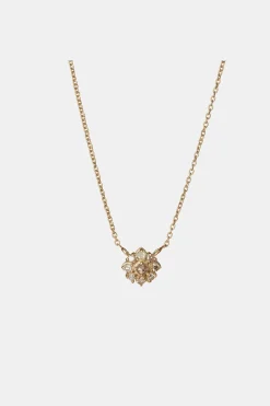 Collier Grace